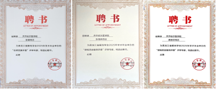 组合 6